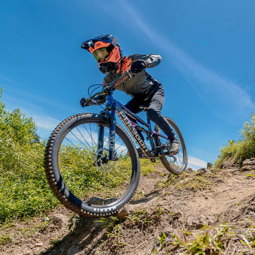 ANY TRAIL - ANY RIDER